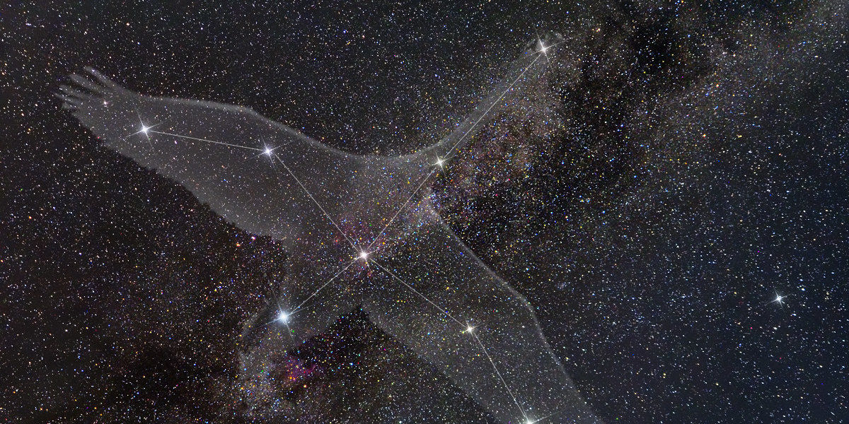 costellazione del cigno