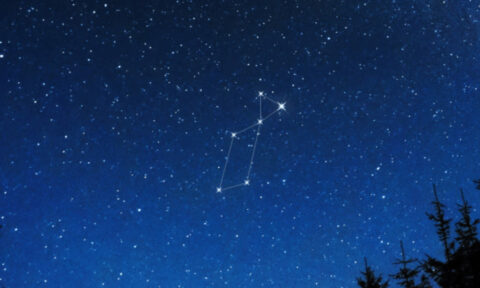 costellazione della lira