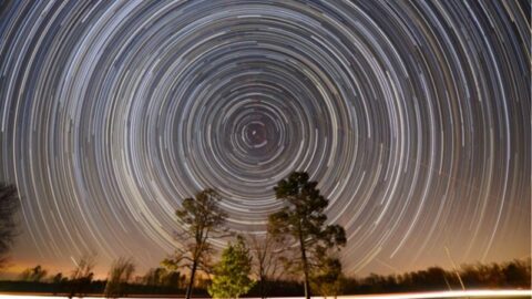 costellazioni circumpolari